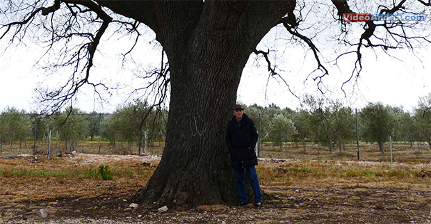 “Ad Andria sempre meno agricoltori a causa dei furti in campagna, difendiamo i giovani imprenditori” – l’appello di Nicola Montepulciano