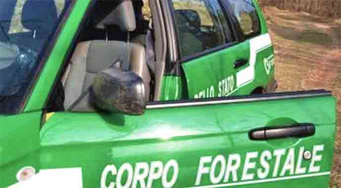 cfs-corpo-forestale-dello-stato