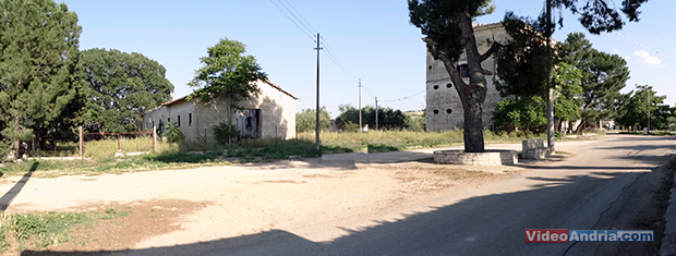 quercia-Roverella-secolare-con-antica-masseria-in-contrada-Troianelli-ad-Andria