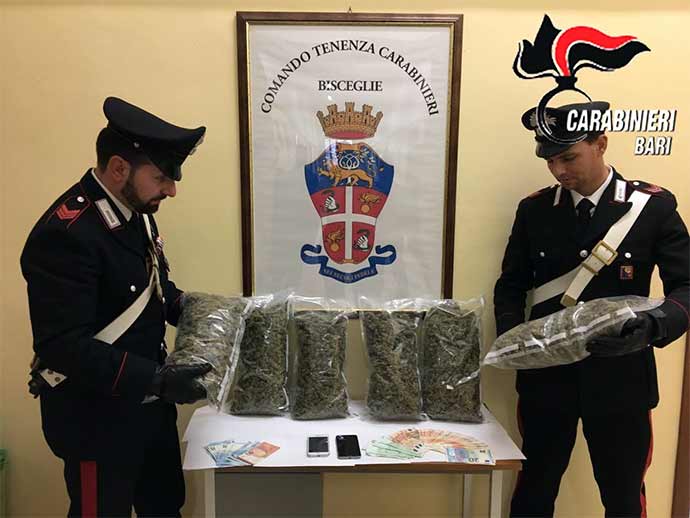 biscegllie-nascondevano-3-kg-di-marijuana-nel-cofano-dellauto-arrestati-due-cittadini-albanesi