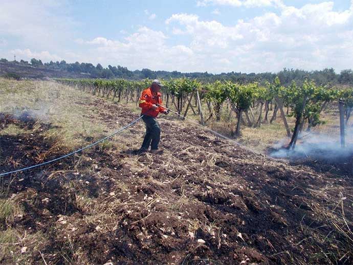 incendio-uliveti-andria