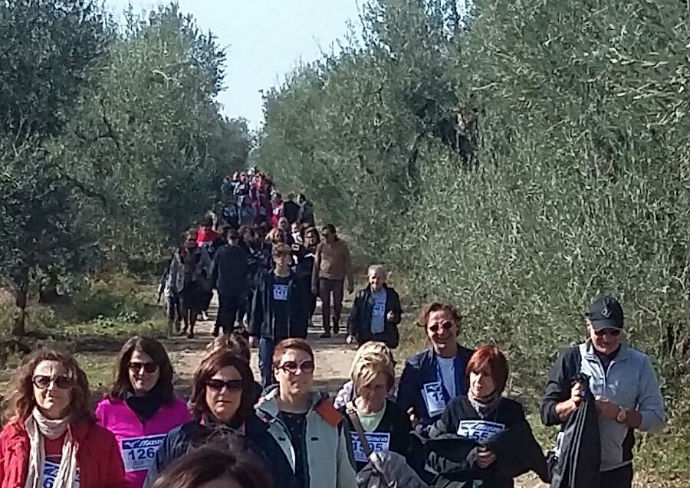 camminata olivi andria