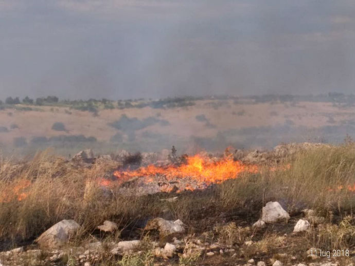 bosco di Santo Spirito 13 incendi