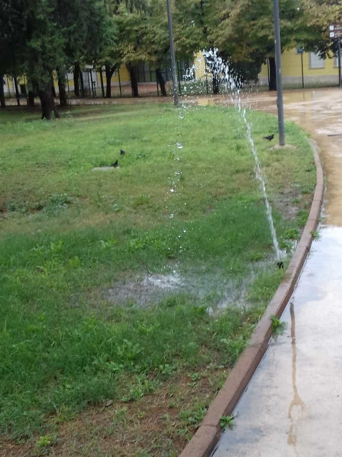 fontana irrigatore