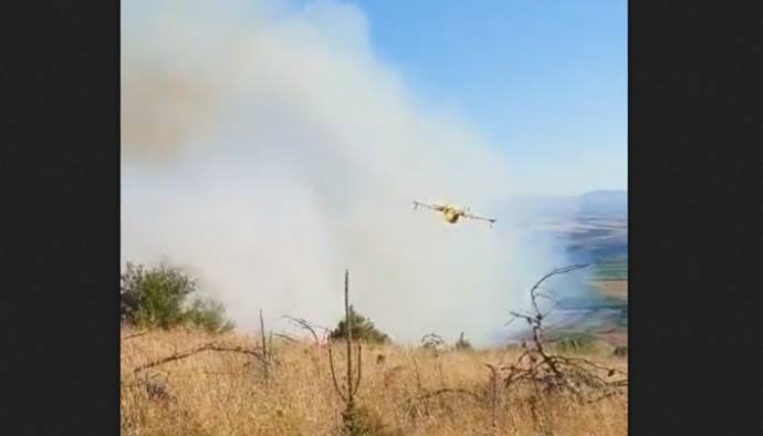 incendio bosco acquatetta minervino murge