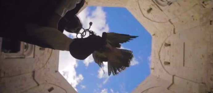 falco castel del monte falconeria