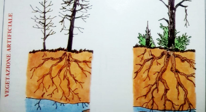 pino vegetazione artificiale