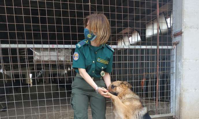 Foto Guardia ecozoofila con cane fareambiente