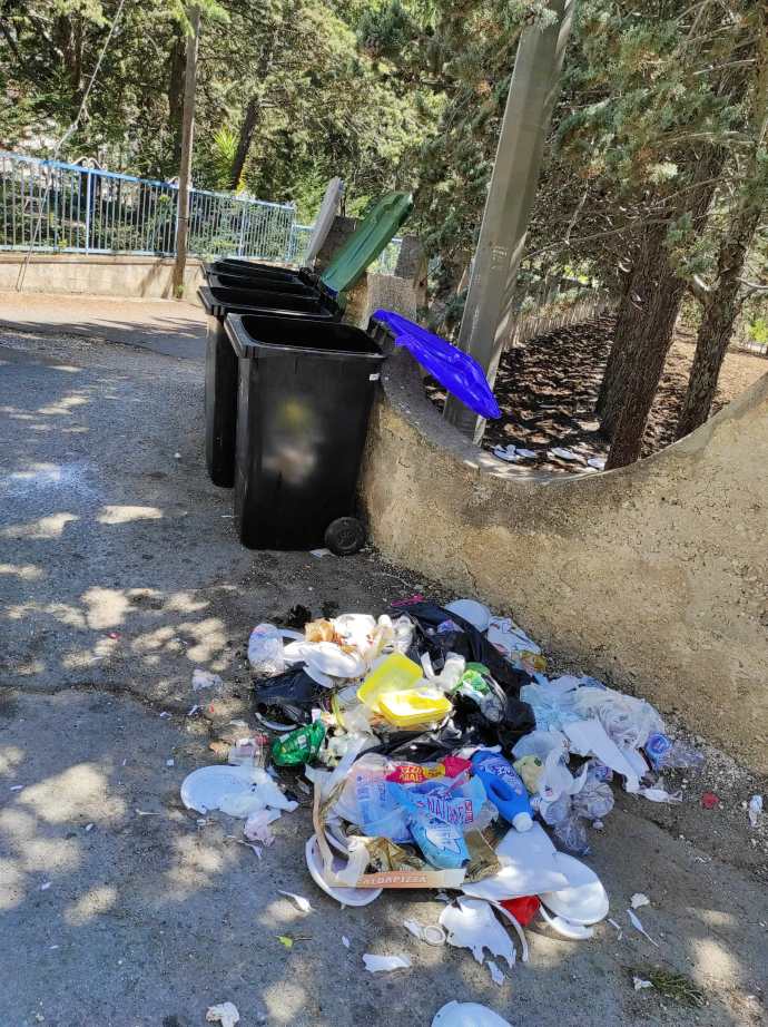 rifiuti abbandonati viale delle pinete