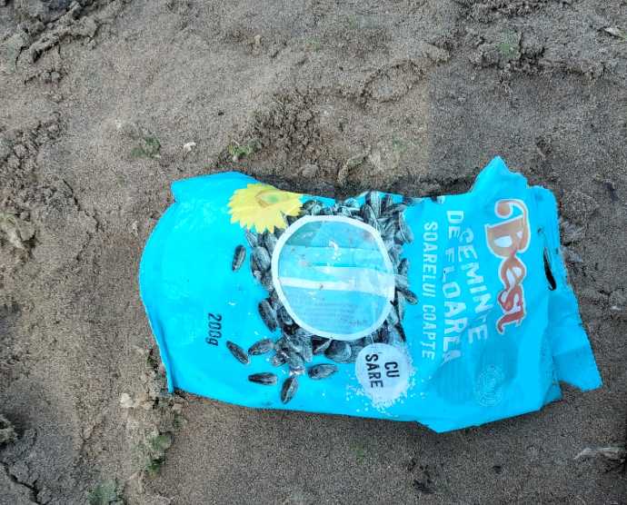 rifiuti spiaggia barletta