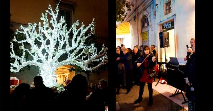 Natale ad Andria: violino live ed un albero luminoso in viale Crispi – video